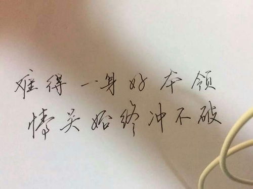 我也是无聊透顶 