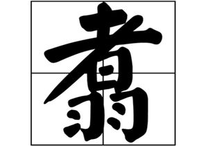 你知道 翥 字的读音吗