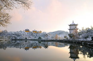 好消息 元旦 春节江村又免门票啦