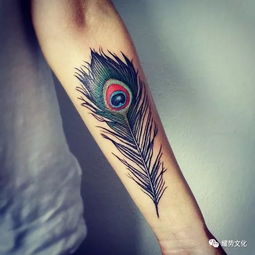 象征自由的羽毛纹身 纹身素材