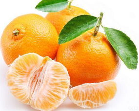 橘子是什么味道 