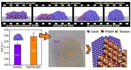 研究揭示碳化钛表面的钛氧物种与钴的相互作用