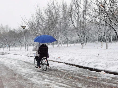 这场雪,你一定等很久了吧