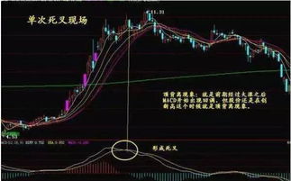 一个操盘手的回忆：为什么亏钱的都是散户