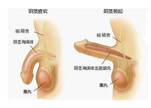 引起心理性阳痿的那些 想不开 的事儿