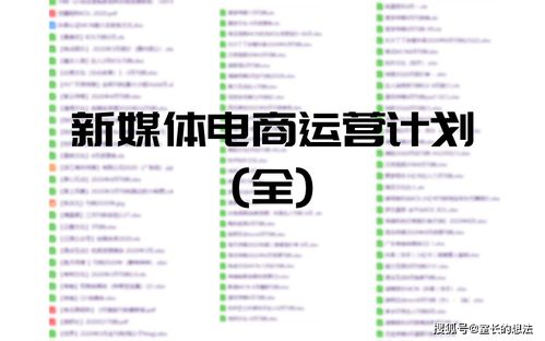 短视频直播电商新媒体运营商业计划书sop工作模板案例方案表格