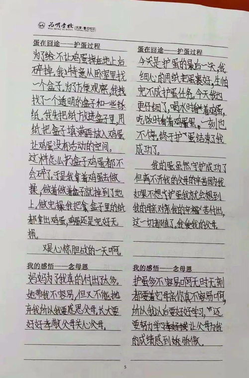 感恩父母的作文300字左右四年级上册