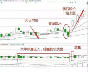 股市里说的洗盘是什么意思？