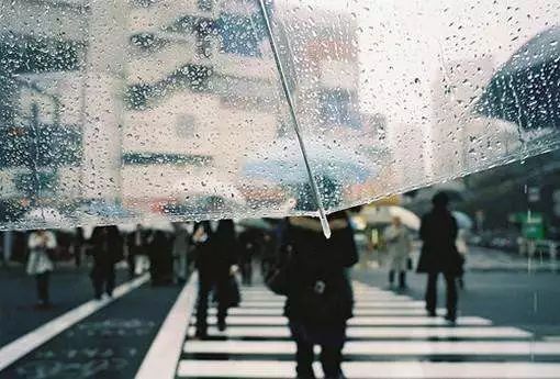 下雨天的正能量励志（冒雨前行励志句子？）