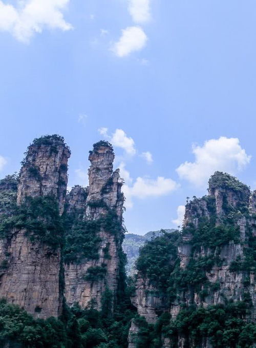 如何在网上游景点(去旅游景点怎么网上买票)