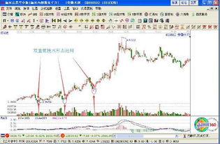 如果某一股票持续下跌，请问投入其中的钱会一点剩吗？