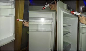 冰箱门的缝隙里面有蟑螂怎么办 