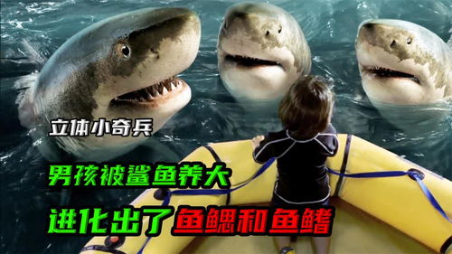 男孩被鲨鱼养了三年,身体发生了变异进化成了鲨鱼人 
