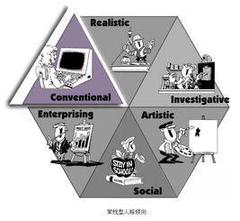 霍兰德职业兴趣类型 常规型 C 