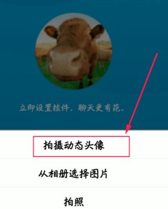 怎么设置QQ头像那里的小视频 