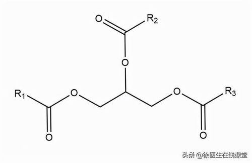 甘油三酯升高,医生总结了3个解决办法 简单实用见效快