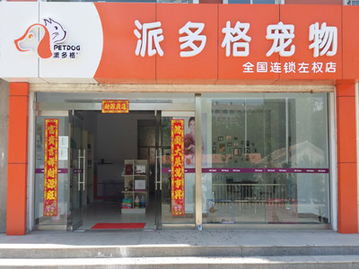 郑州加盟宠物店项目排行榜宠物店好的加盟店有哪些,有哪些值得信赖的点呢