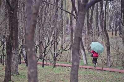 雨中漫步