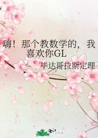 嗨 那个教数学的,我喜欢你GL 毕达哥拉斯定理 晋江文学城 