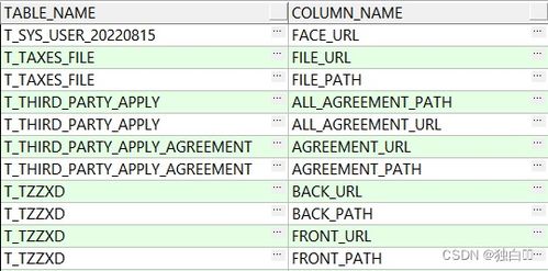 mysql中文表名和字段对查询有影响吗(mysql查字段里纯中文的数据)