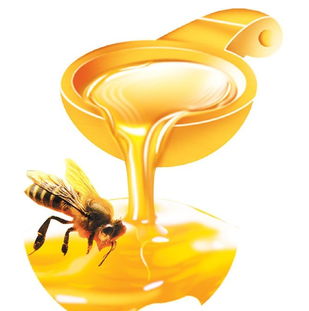 关于蜜蜂和蜂蜜的诗句