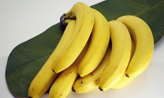 一把香蕉还是一串香蕉量词 一根还是一把香蕉