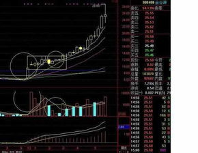 明星买的股票和炒股一样吗