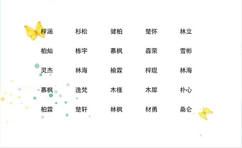 男孩带佳字名字比较大气的名