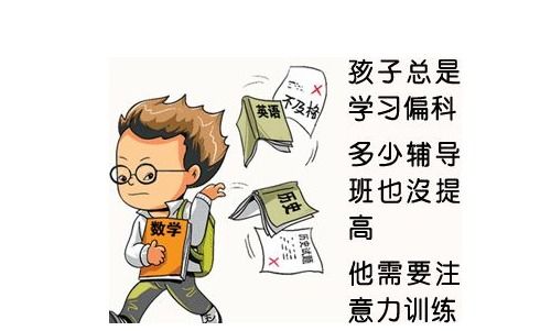 偏科偏数学是什么意思 