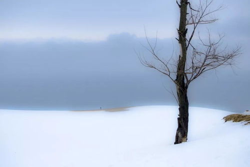 形容冬天雪的优美句子有哪些