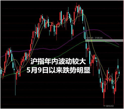 上证A股没有被炒作过的股是？