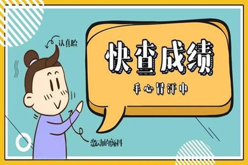 中小学生查成绩的软件(初中学生成绩怎么查询)