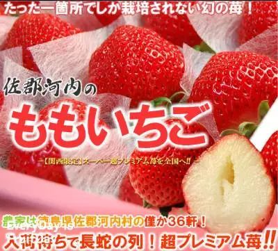 畸形 空心 太大的草莓到底能不能吃 关于草莓的5个真相 