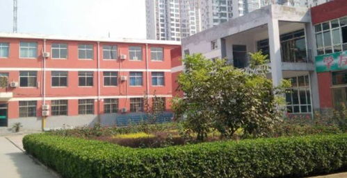 徐州技校哪个学校最好，徐州财经高等职业技术学校要多少分能上呢