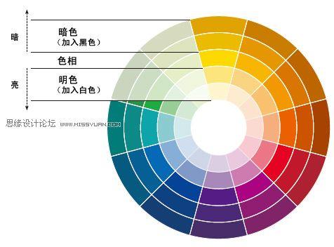 最佳色彩搭配图片大全图片