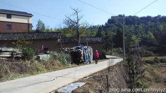 地盘亥山巳向,山包人盘巽字 主出文贵 