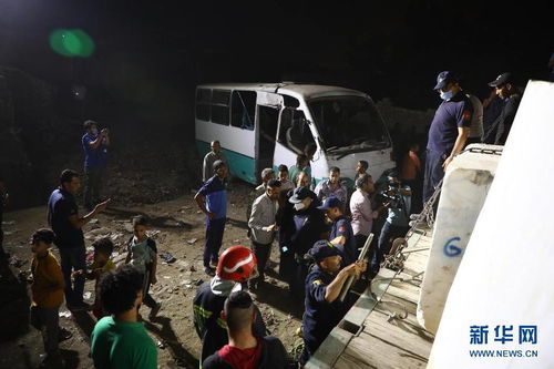 埃及一列车与大巴相撞致2死6伤