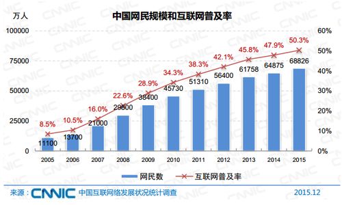 数字鸿沟 谁没网 谁上网 谁被网上