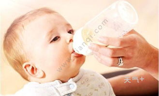 新生儿吃多少奶粉 新生儿喝奶粉多少毫升合适