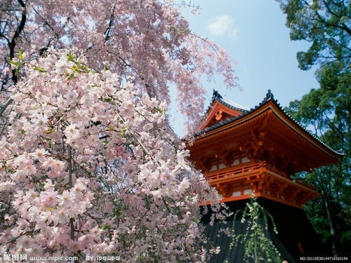 日本京都风景手机壁纸 信息图文欣赏 信息村 K0w0m Com