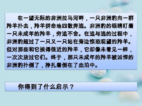 路在何方 路在脚下 目标成就未来课件 