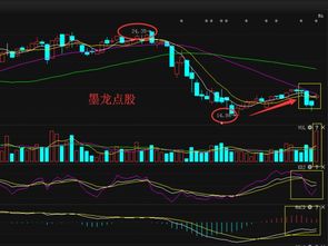 002258利尔化学后市如何?