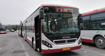 上海公交电车冷知识，上海公交 电车