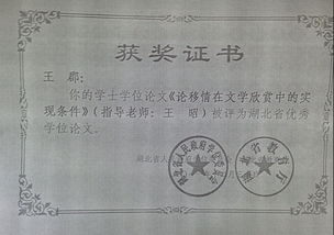 2011湖北省优秀毕业论文