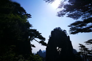 做梦梦见登黄山(梦到登黄山)