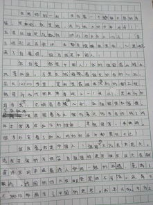 我们的骄傲作文500字