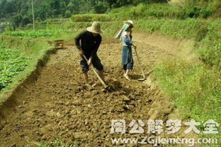 梦见自己挖地是什么意思 梦到自己挖地好不好 大鱼解梦网 