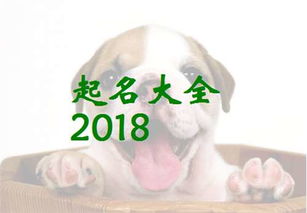 2018狗年最新的楚姓可爱的女宝宝宝起名