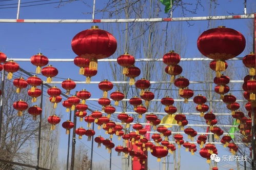 挂灯笼 迎新春丨火红的灯笼扮靓了美丽乡村