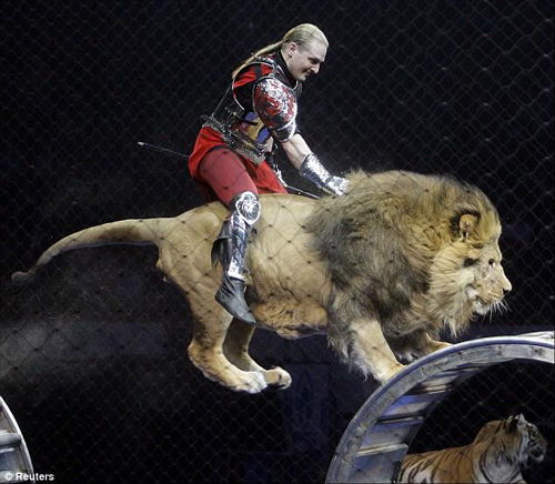 俄驯兽员骑狮子表演马戏 大秀 人狮之吻 